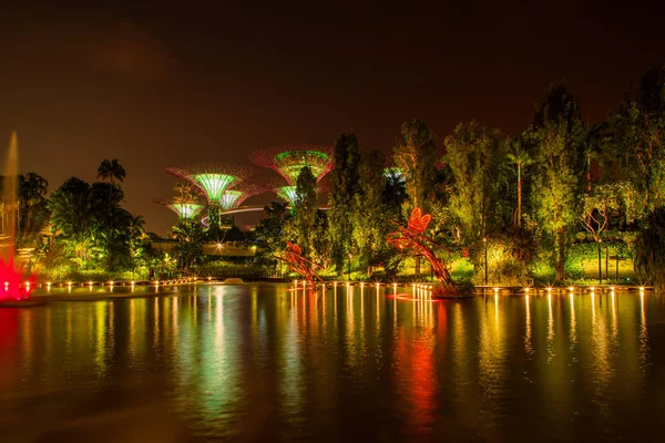 Singapore Night Skyline at Gardens by the Bay (en inglés). SuperTree Grove — Foto de Stock