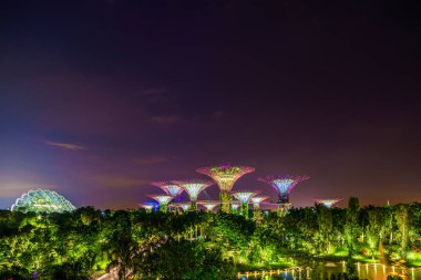 Gardens Bay tarafından Singapur gece manzarası. Supertree Grove