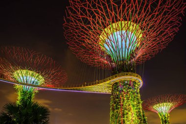Gardens Bay tarafından Singapur gece manzarası. Supertree Grove