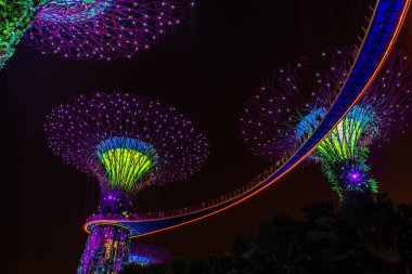 Gardens Bay tarafından Singapur gece manzarası. Supertree Grove