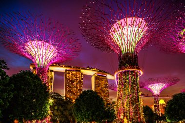 Gardens Bay tarafından Singapur gece manzarası. Supertree Grove