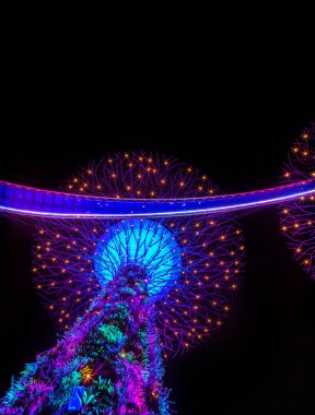 Gardens Bay tarafından Singapur gece manzarası. Supertree Grove