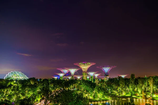 新加坡夜景在海湾花园。Supertree 格罗夫 — 图库照片