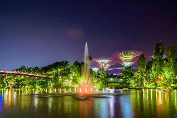 新加坡夜景在海湾花园。Supertree 格罗夫 — 图库照片