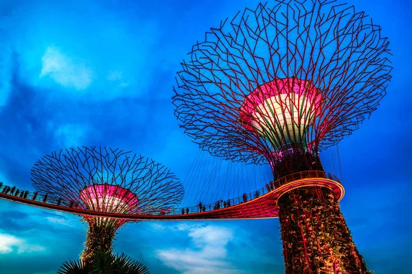 Singapore Night Skyline at Gardens by the Bay. SuperTree Grove — Stock Photo, Image