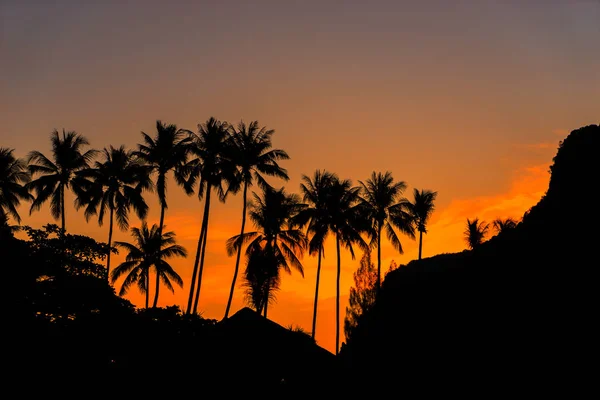 Tropical beach at sunrise — Stock Photo, Image