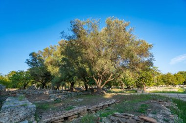 Olympia Arkeolojik Alanı