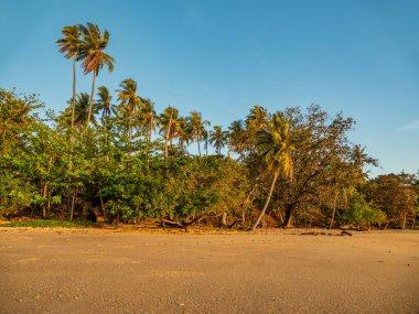 Tropik tatil beldesindeki tropik plaj