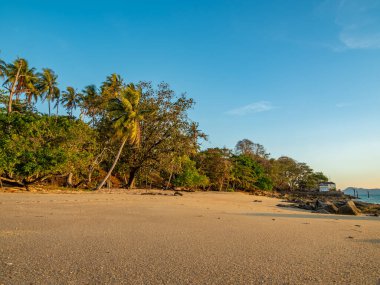 Tropik tatil beldesindeki tropik plaj