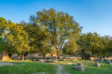 Olympia Arkeolojik Alanı