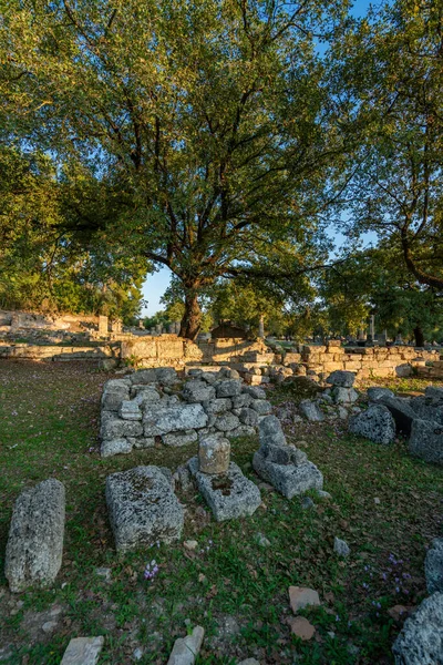 Sito archeologico di Olimpia — Foto Stock