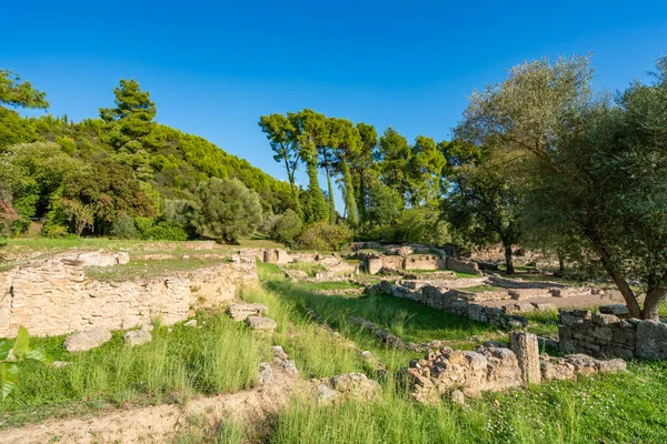 Archaeological Site of Olympia — Stock Photo, Image