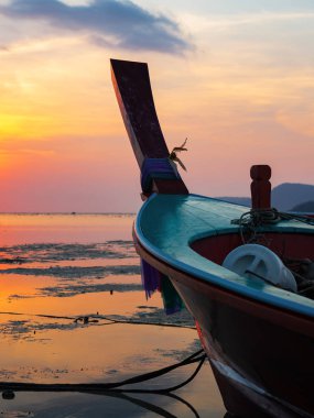 Tayland sahilinde geleneksel uzun kuyruklu tekne.