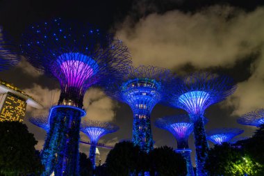 SINGAPORE CITY, SINGAPORE - FEBRUARY 14, 2020: Gardens by the bay in Singapore, Unique vertical gardens resembling towering trees, with large canopies & colorful lights at night
