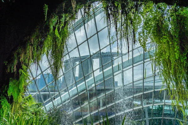 Singapore City Singapore February 2019 Cloud Forest Gardens Bay Mist — Stock Photo, Image