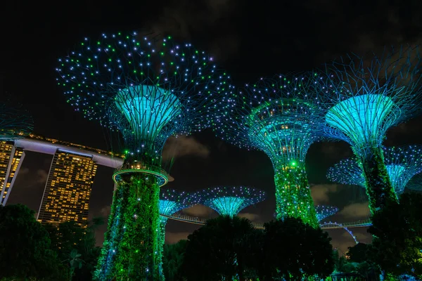 Singapore City Singapore February 2020 Gardens Bay Singapore Unique Vertical — Stockfoto