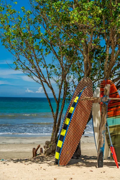 Surf Boards Beach Kuta Bali Indonesia — Stock Photo, Image