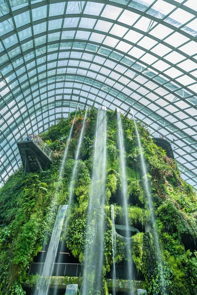 Singapore City Singapore February 2019 Cloud Forest Gardens Bay Mist — Stock Photo, Image