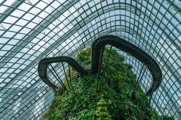 Singapore City Singapore February 2019 Cloud Forest Gardens Bay Mist — Stock Photo, Image