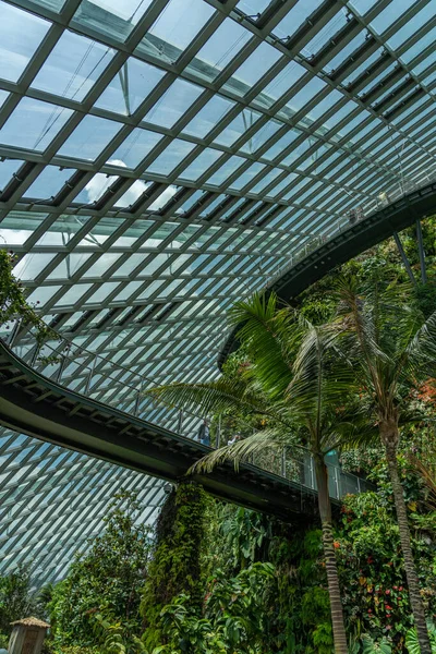 Singapore City Singapore February 2019 Cloud Forest Gardens Bay Mist — Stock Photo, Image