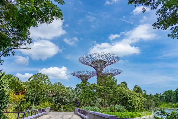 Super Trees Gardens Bay Singapore — Stock Photo, Image