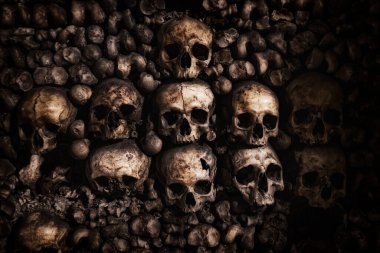 Skulls and bones at Paris catacombs clipart