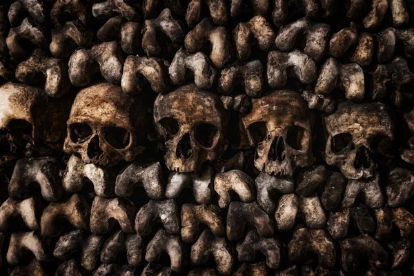 巴黎地下墓穴的骷髅和骨骼 — 图库照片