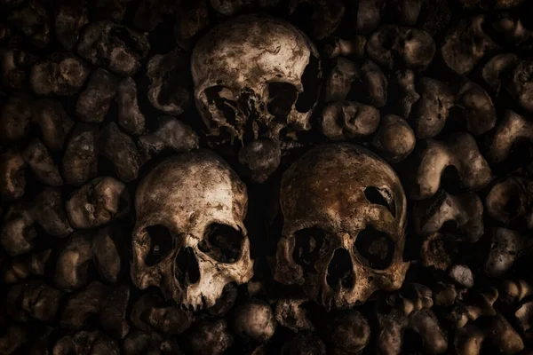 パリのカタコンベの頭蓋骨と骨 — ストック写真