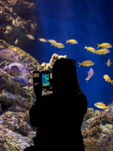 Woman Aquarium Taking Photos — Stock Photo, Image