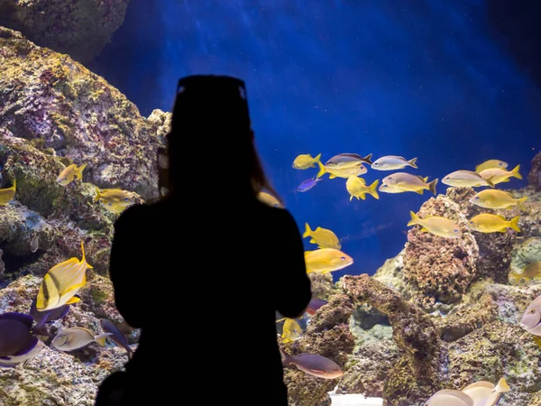 Vrouw Het Aquarium Maakt Foto — Stockfoto