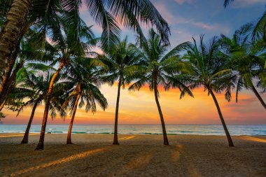 Tropikal sahilde güzel bir gün batımı 