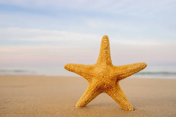 Estrella Mar Playa Tropical — Foto de Stock