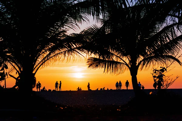 Vacker Solnedgång Vid Den Tropiska Stranden — Stockfoto