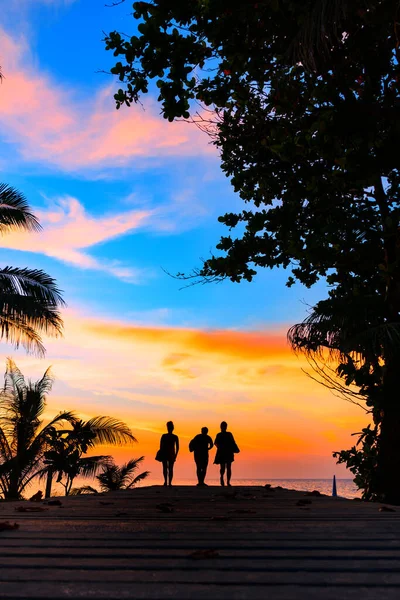 Beautiful Sunset Tropical Beach — Stock Photo, Image