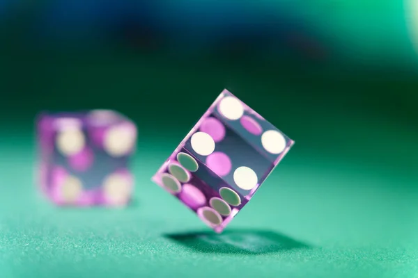 ギャンブルテーブルのカジノ紫のサイコロ — ストック写真
