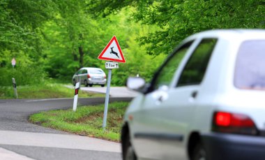 Orman yolu geyik dikkat mesaj ile trafik