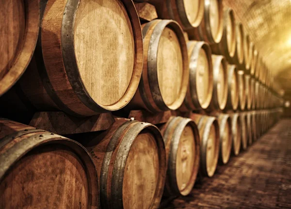 Vinfat i vinvalv i ordning — Stockfoto
