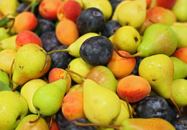 Färgglada olika frukter i hög — Stockfoto