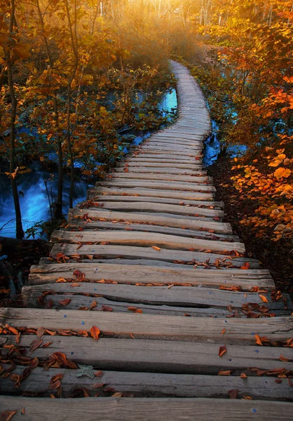 Caminho de madeira vai para a floresta no Parque Nacional Plitvice da Croácia — Fotografia de Stock