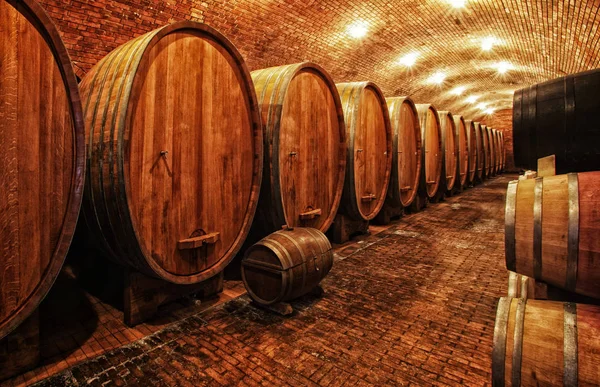 Barili di vino in botti di vino in ordine — Foto Stock