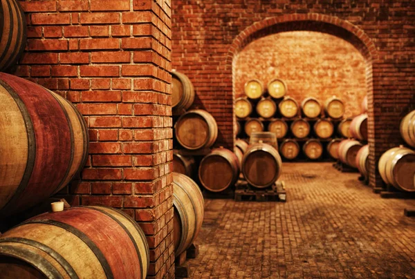 Barili di vino in botti di vino in ordine — Foto Stock