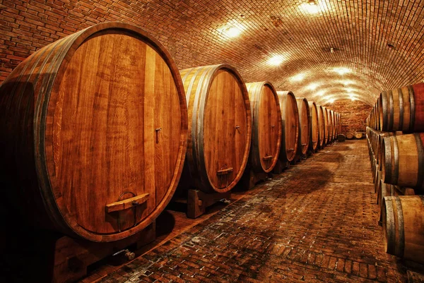 Barricas de vino en bóvedas de vino en orden — Foto de Stock