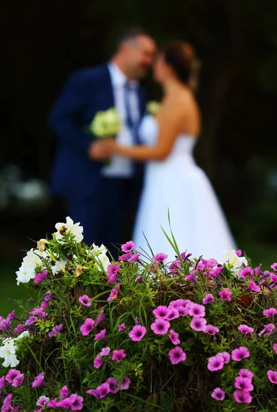 Couple de mariage embrassant derrière la fleur — Photo