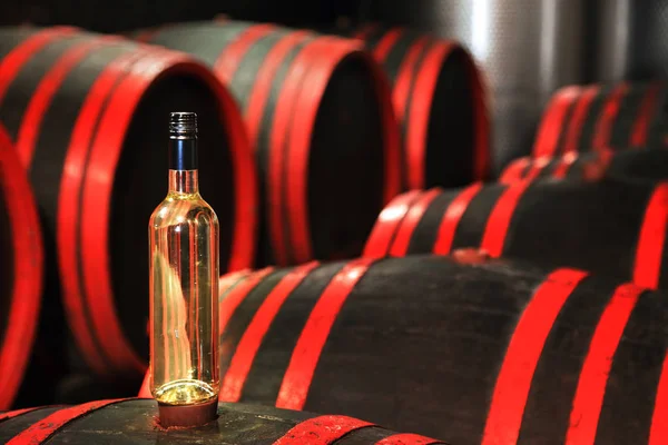 Wine barrels in wine-vaults in order with glass of wine