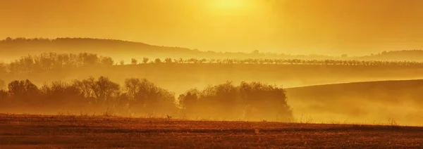 Красивий Туманний Пейзаж Панорамний Вид Ранкові Години — стокове фото