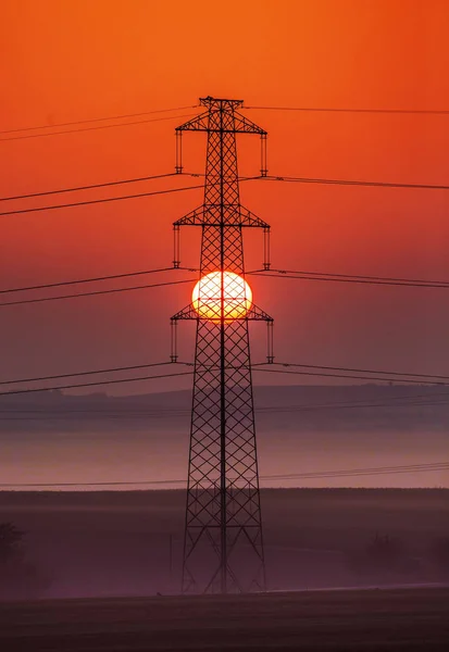 Electric Wires Foggy Morning Sun — Stock Photo, Image