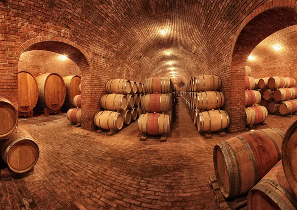 Wine barrels in wine-vaults in order