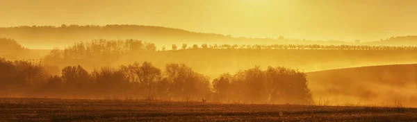 Krásná Mlhavá Krajina Panoramatickém Výhledu Ranních Hodinách — Stock fotografie