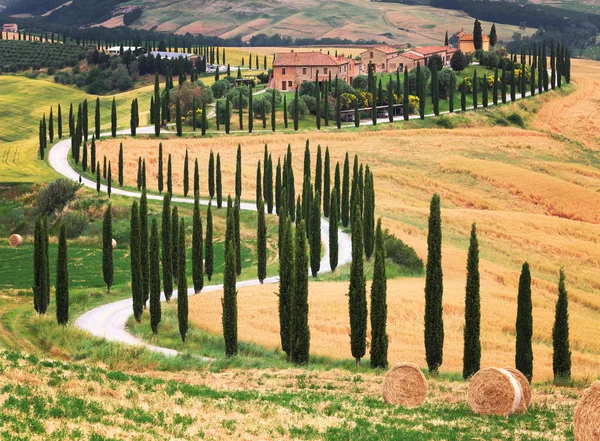 曲げ道路やヒノキの木とトスカーナ州の美しい風景 シエナ地方に位置 イタリア — ストック写真