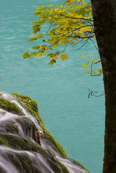 Lakes Plitvice Lakes National Park Croatia — Stock Photo, Image